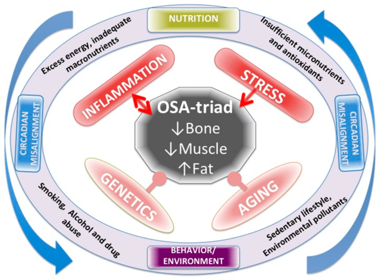 How Micronutrients Keep Your Body Functioning Properly