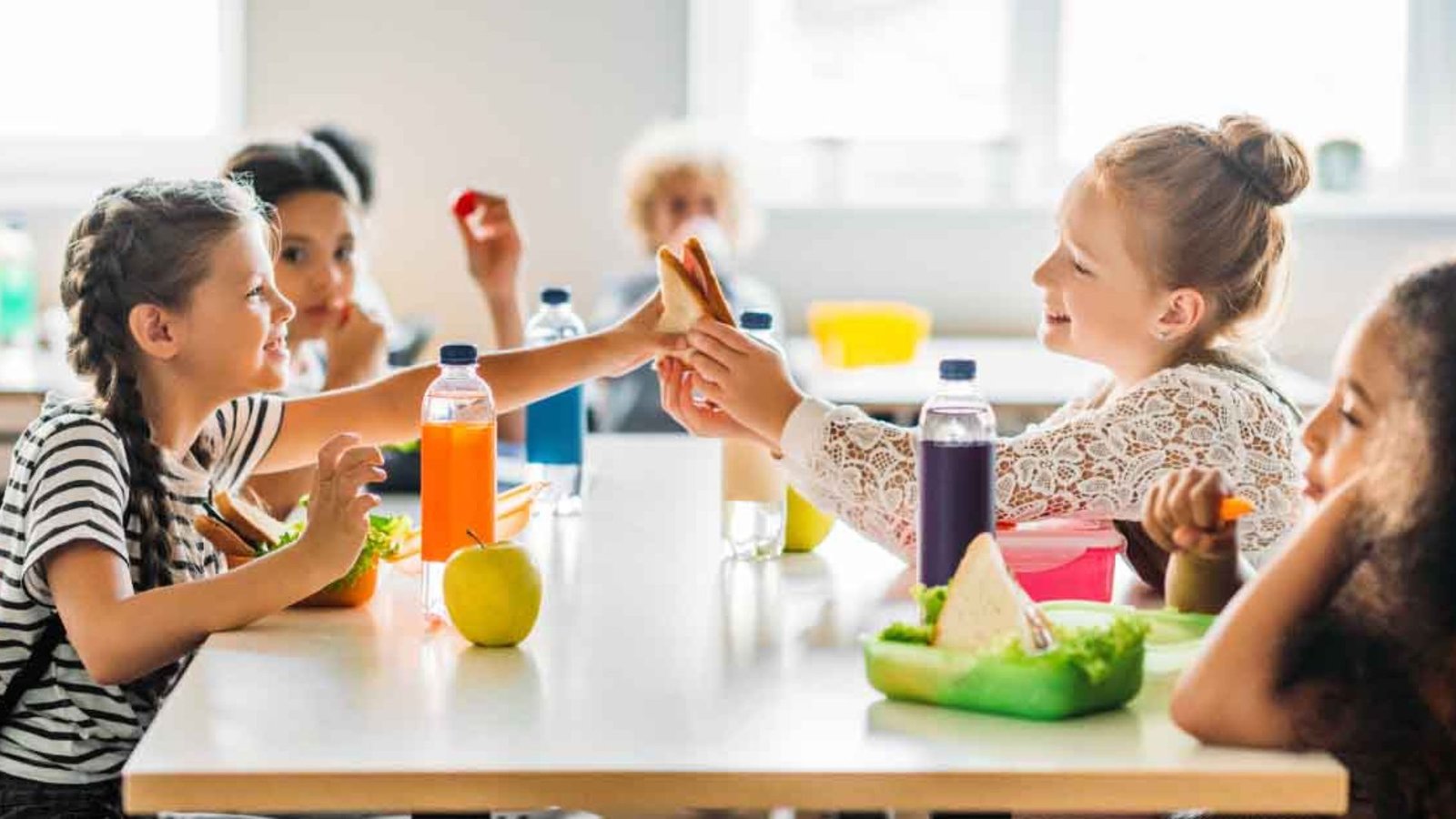 How Schools Handle Food Allergy Safety