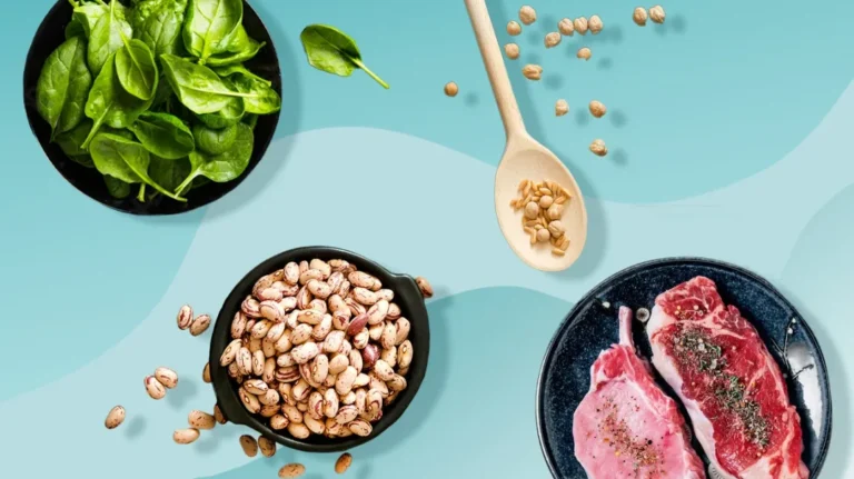 Soy Protein vs. Animal Protein