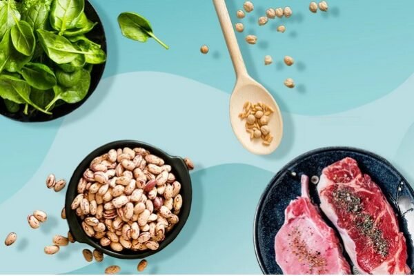 Soy Protein vs. Animal Protein: A Nutritional Comparison