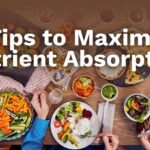 The Science of Nutrient Absorption