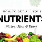 Vegan Nutrition 101: How to Meet All Your Nutritional Needs