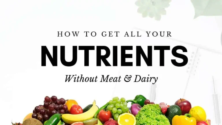 Vegan Nutrition 101: How to Meet All Your Nutritional Needs
